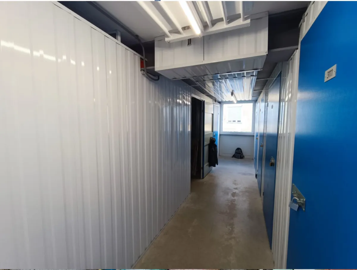 Team bei der professionellen Firmenauflösung in einem Büro in Baden