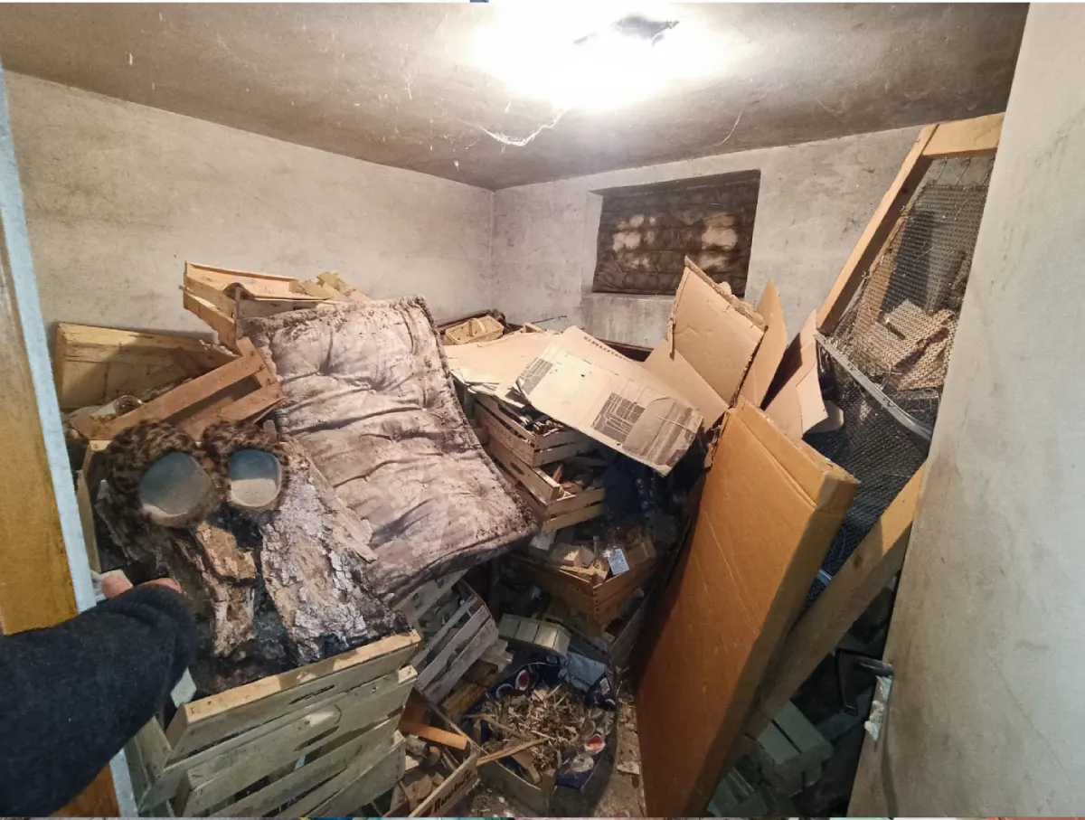 Kellerentrümpelung Baden